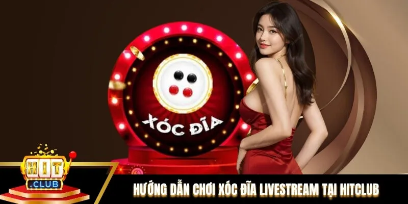 Hướng dẫn chơi Xóc đĩa livestream tại Hitclub chuẩn xác